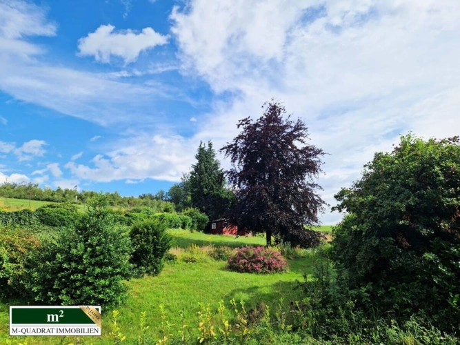 Blick vor dem Haus