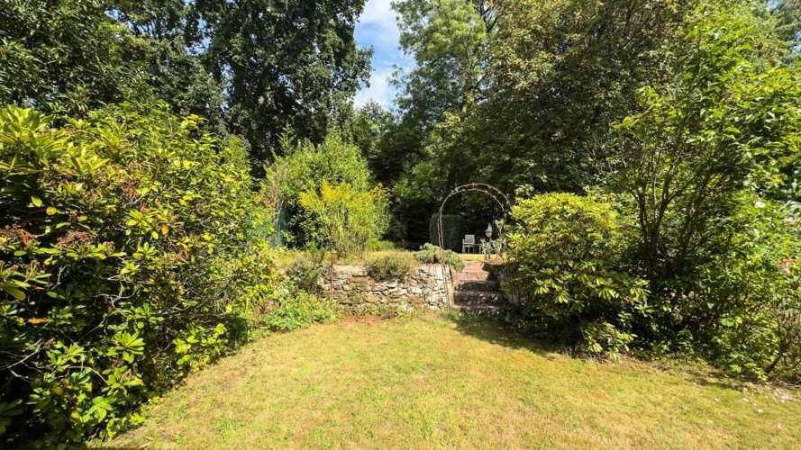 Blick in den Garten