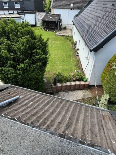 Blick in den Garten