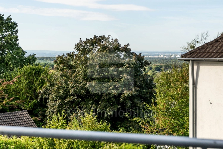 Ausblick