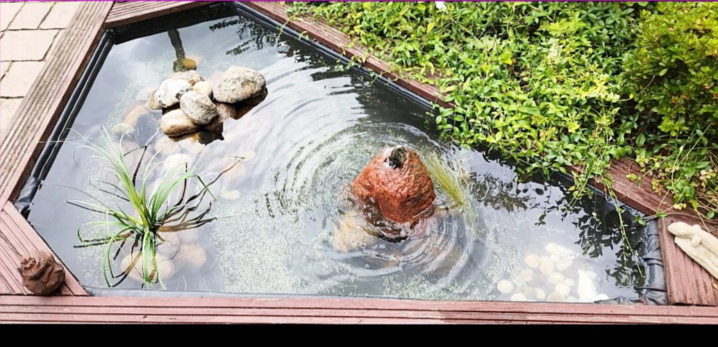 Kleiner Ziergartenteich