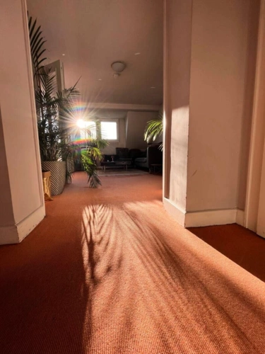 Blick ins Wohnzimmer