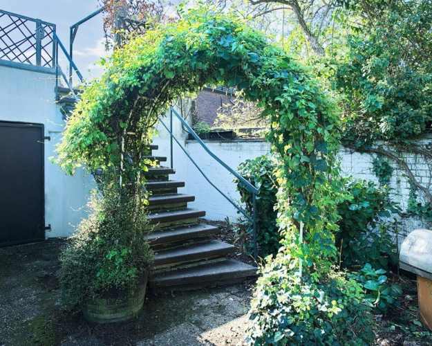 Terrassenaufgang