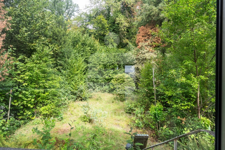 Blick aus Fenster
