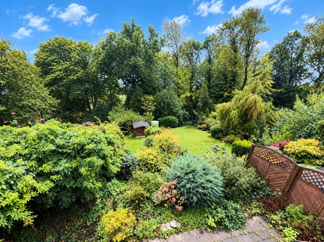 Blick in den Garten