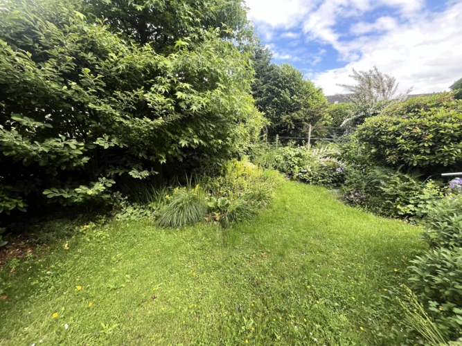 Blick in den Garten II