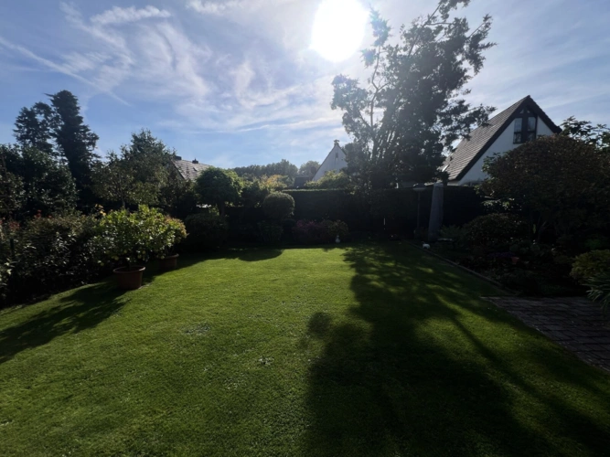 Ausblick in den Garten