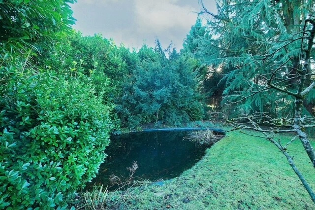 Teich