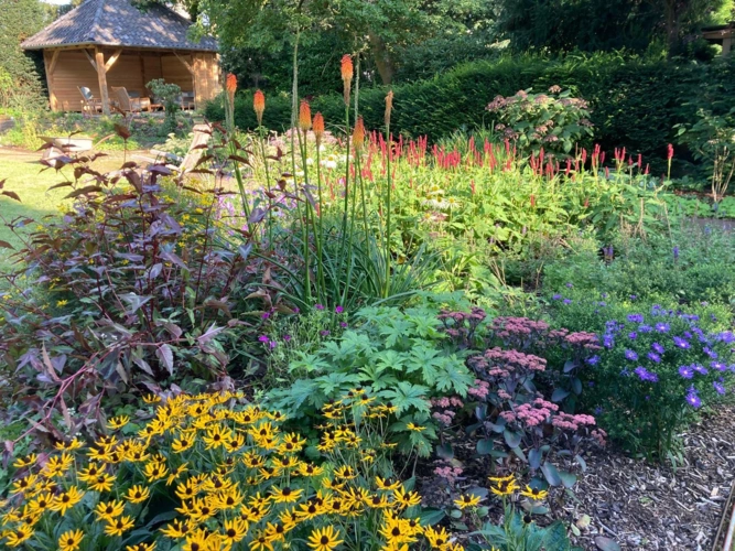 Garten-Detail