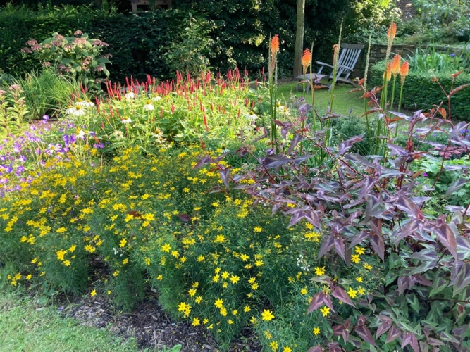 Garten-Detail