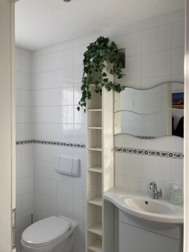 Gäste-WC  EG